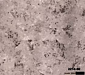 Decowall Bossini 2214-02 Duvar Kağıdı Pembe Eskitme Desenli