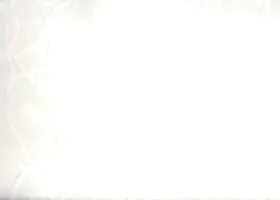 Seela Boyanabilir- 6551 Duvar Kağıdı 25m²