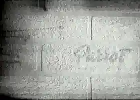 Seela Boyanabilir- 8401 Duvar Kağıdı 25m²