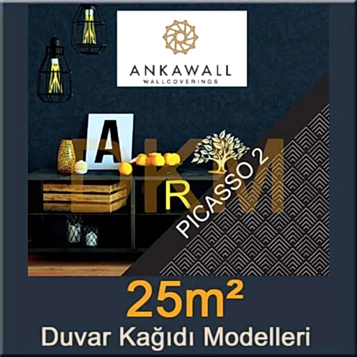 Picasso 2 Boyanabilir