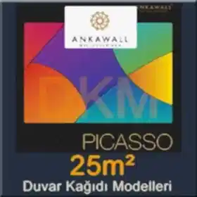 Picasso Boyanabilir