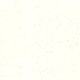 Decowall Astor Paint 1 Boyanabilir Duvar Kağıdı