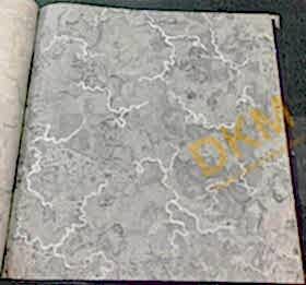 Ravena Kahkashan 202204-1 Duvar Kağıdı