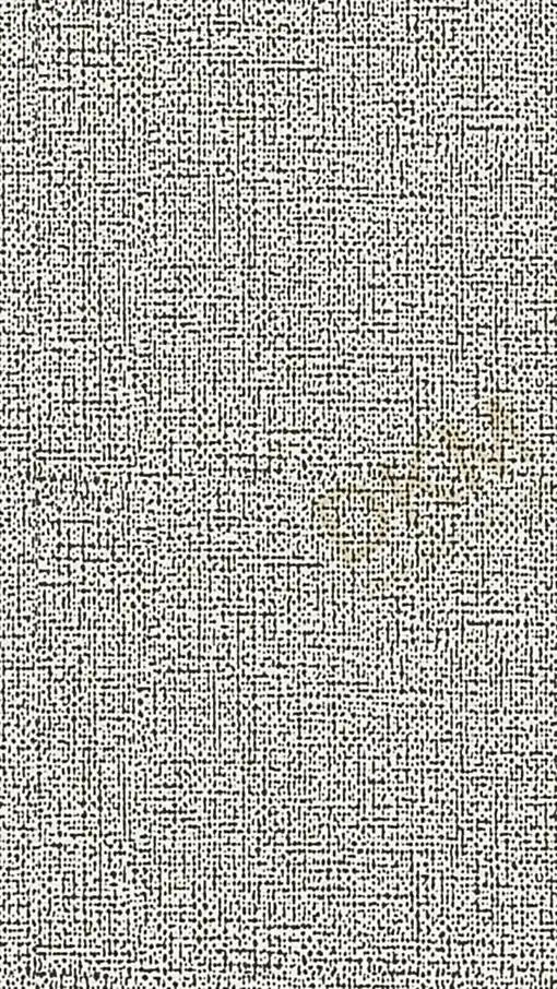 Wallcloth2 20601 / 11-1 Otel Duvar Kağıdı