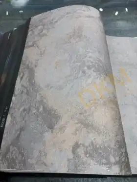 Vertu Killios 5009-1 Duvar Kağıdı