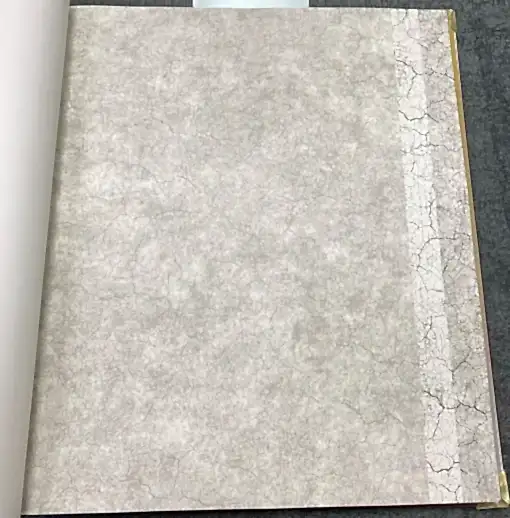 Ankawall Vision 2403-1 Duvar Kağıdı