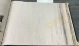 AnkaWall Ankapro 2501-1 Duvar Kağıdı