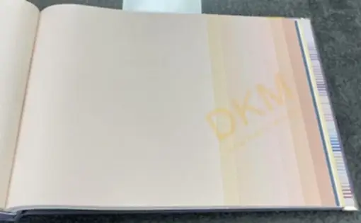 Seela Colorbox 23013-1 Duvar Kağıdı 10m²