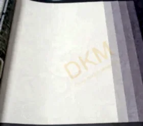 AdaWall Omega 23213-1 Duvar Kağıdı 16m²