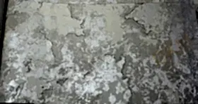 Barberry 303- 303040 İthal Duvar Kağıdı 16m²