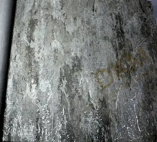 AdaWall Seven 7809-1 Duvar Kağıdı Beyaz Simli Eskitme Desen