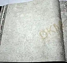 AdaWall Tropicano 9912-1 Duvar Kağıdı Beyaz Kendinden Desenli