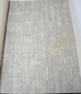 Decowall Orlando 1511-04 Duvar Kağıdı Gri Simli Eskitme Desenli