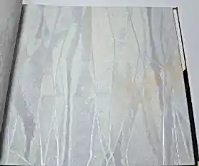 Papro Hit4 13513-2 Duvar Kağıdı 16m²