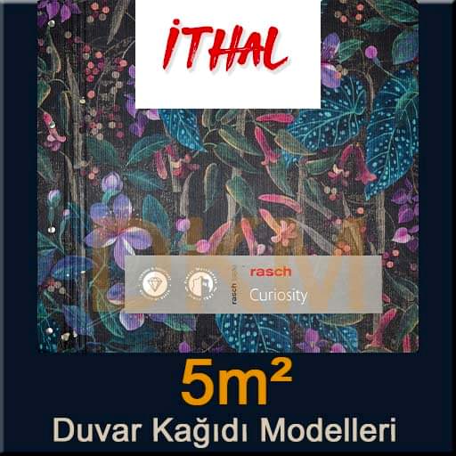 Rasch Curiosity 5m²