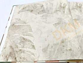 İthal Beltesto B12-1 416145 Yaprak Duvar Kağıdı 5m²