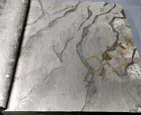 Duka Ambiance Long River dk.30200-1 Damarlı parlak Duvar Kağıdı 16m²