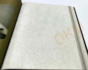 Ankawall Tuis 2704-1 Boyama Duvar Kağıdı 16m²