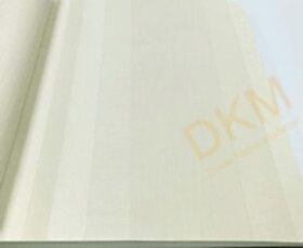Duka Selective Modern Line dk.32420-1 İnce şerit çizgili Duvar Kağıdı 16m²
